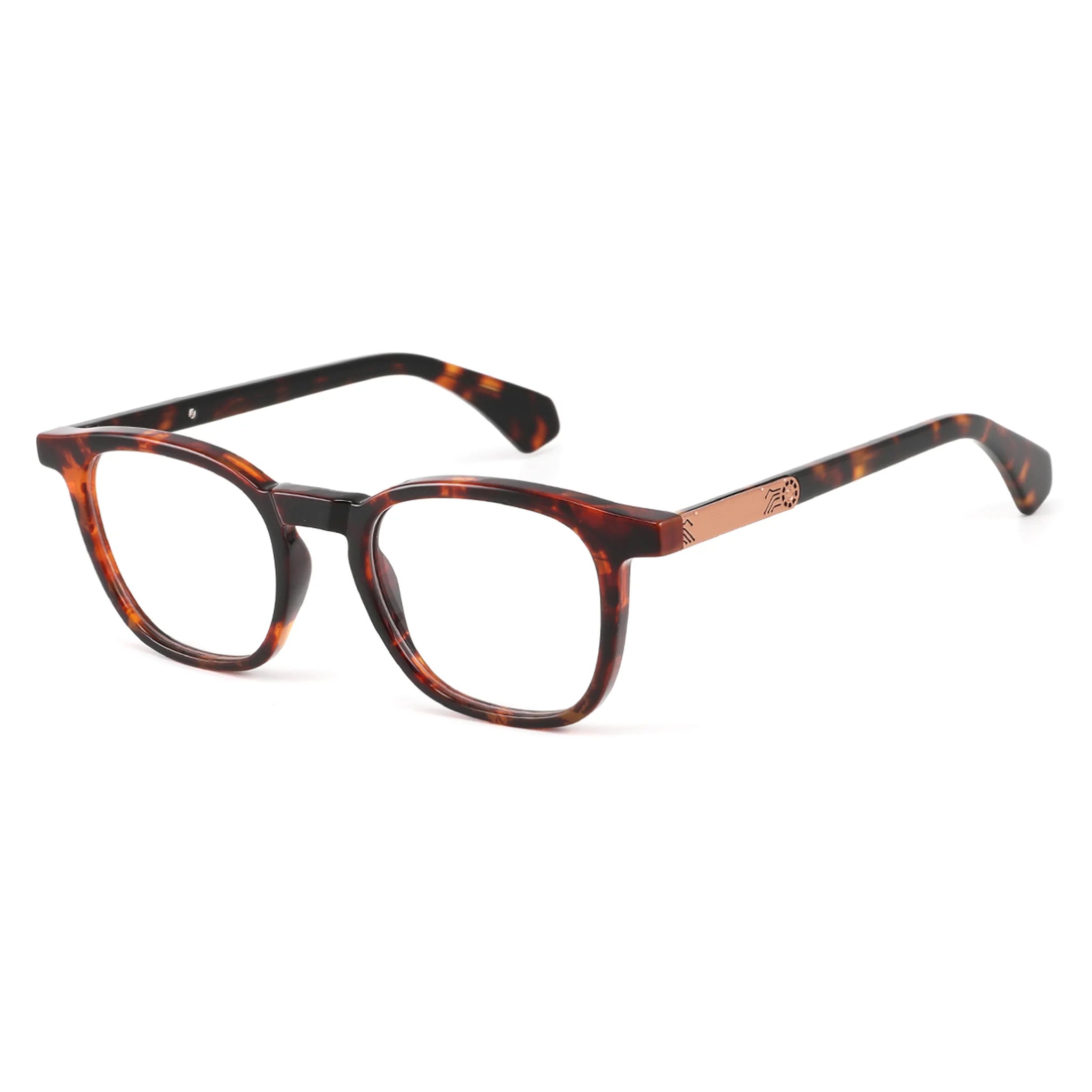 Montura óptica cuadrada de acetato JT-GL6650 - Joyiris Eyewear