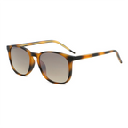 Fabricante de gafas ovaladas PC JU-UM6804 - Joyiris